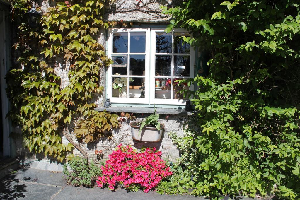 Culloden Farmhouse Camelford Exterior foto